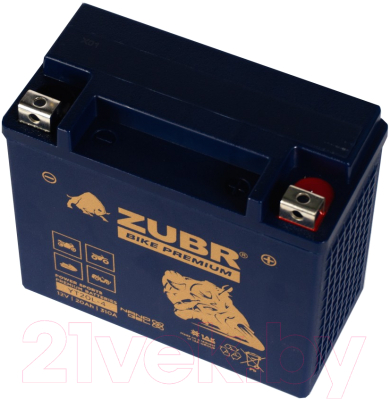 Мотоаккумулятор Zubr Bike Premium R+ / YT20L-4