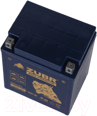 Мотоаккумулятор Zubr Bike Premium R+ / YB30L-BS