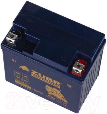 Мотоаккумулятор Zubr Bike Premium R+ / YTX5L-BS