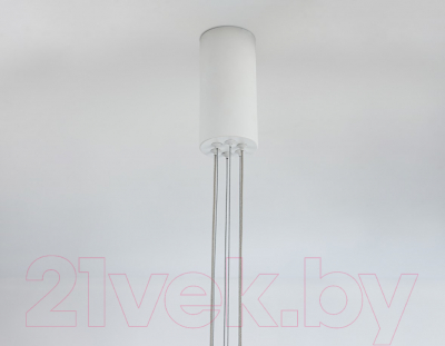 Потолочный светильник Ambrella Comfort FL5884/2 WH (белый)