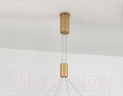 Потолочный светильник Ambrella Comfort FL5885/2 GD