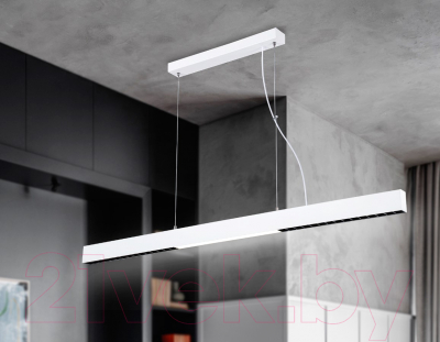 Потолочный светильник Ambrella Comfort FL5965 WH