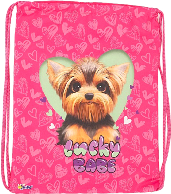 Мешок для обуви Оникс Lucky dog / 158-71516-CLR - фото