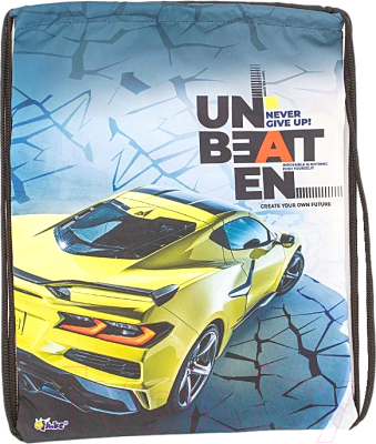 Мешок для обуви Оникс Авто / 158-71521-CLR - фото