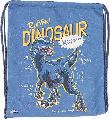 Мешок для обуви Оникс Раптор / 158-71536-CLR - фото