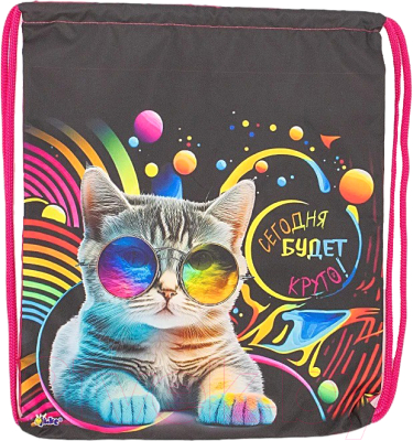 Мешок для обуви Оникс Кот / 158-71539-CLR - фото