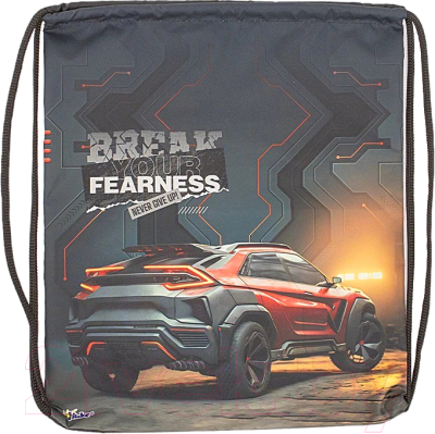 Мешок для обуви Оникс Кроссовер / 158-71540-DCL - фото