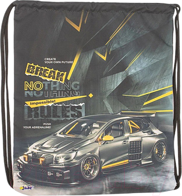 Мешок для обуви Оникс Авто / 158-71551-DCL - фото