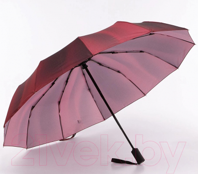 Зонт складной Francesco Molinary 734-24304-FM-BRD