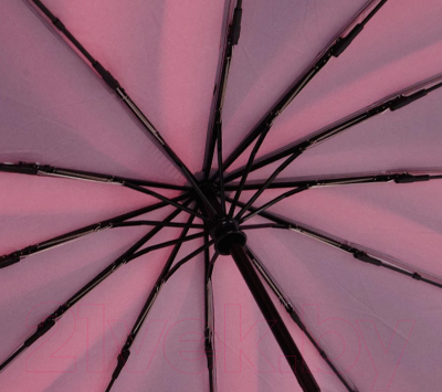 Зонт складной Francesco Molinary 734-24304-FM-BRD