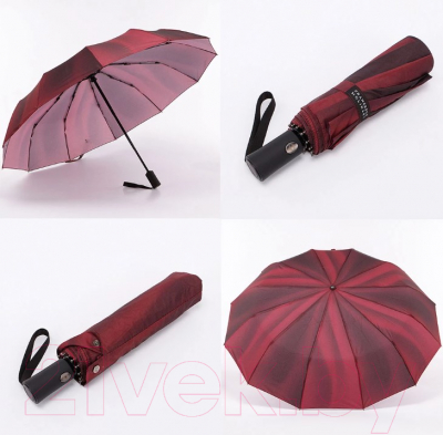 Зонт складной Francesco Molinary 734-24304-FM-BRD