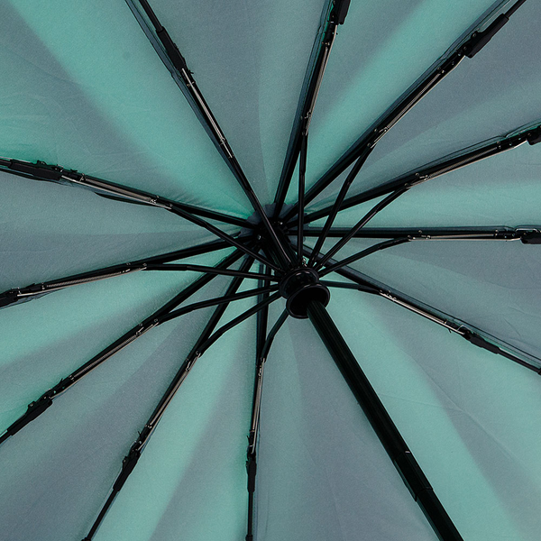 Зонт складной Francesco Molinary 734-24304-FM-GRN