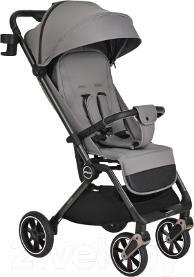 Детская прогулочная коляска Pituso Wicki / ABF2022 - фото