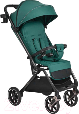 Детская прогулочная коляска Pituso Wicki / ABF2022 - фото