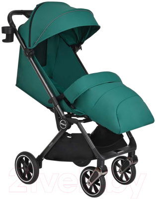 Детская прогулочная коляска Pituso Wicki / ABF2022