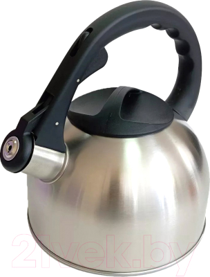 Чайник со свистком Vessel VS8820 - фото
