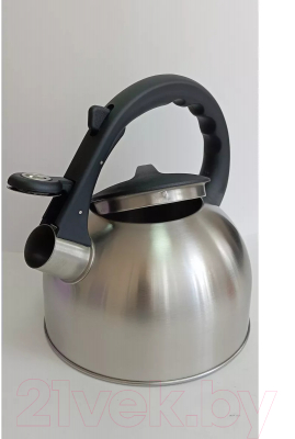 Чайник со свистком Vessel VS8821