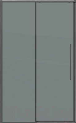 Душевая дверь Grossman Galaxy 100.K33.01.120.42.10 120x195 - фото