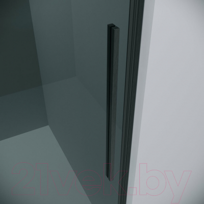 Душевая дверь Grossman Galaxy 100.K33.01.120.42.10 120x195