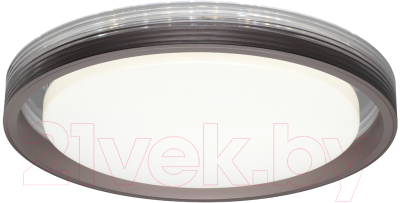 Потолочный светильник Sonex Meden 7698/DL - фото