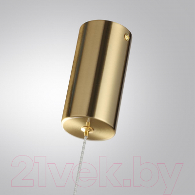 Потолочный светильник Odeon Light Monella 6639/12L