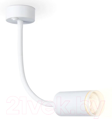 Спот Ambrella Wallers FW2469 WH