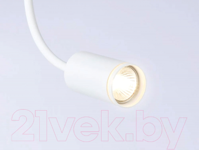 Спот Ambrella Wallers FW2469 WH