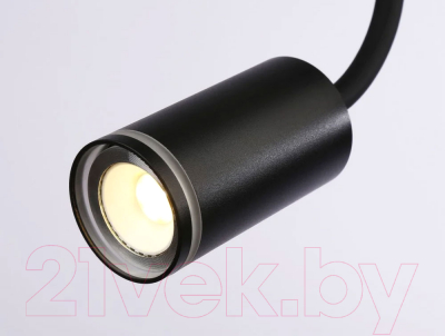 Спот Ambrella Wallers FW2470 BK