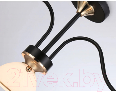 Люстра Ambrella Traditional TR3161/3 BK/FGD