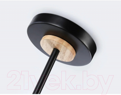 Потолочный светильник Ambrella Traditional TR8244/2 BK/LWD