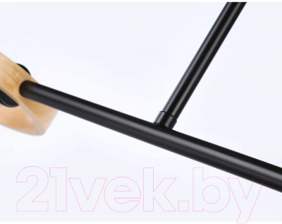 Потолочный светильник Ambrella Traditional TR8244/2 BK/LWD