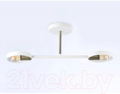 Потолочный светильник Ambrella Traditional TR8222/2 WH/SB