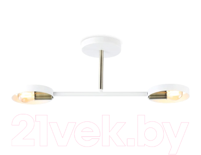 Потолочный светильник Ambrella Traditional TR8222/2 WH/SB