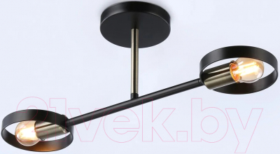 Потолочный светильник Ambrella Traditional TR8225/2 BK/SB - фото