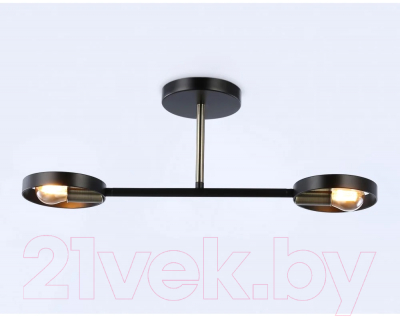 Потолочный светильник Ambrella Traditional TR8225/2 BK/SB