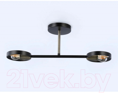 Потолочный светильник Ambrella Traditional TR8225/2 BK/SB