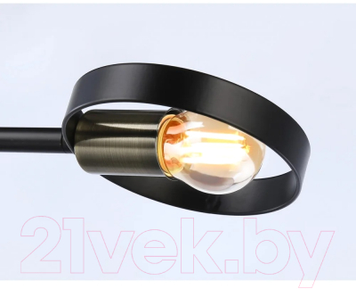 Потолочный светильник Ambrella Traditional TR8225/2 BK/SB