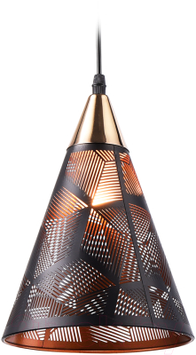 Потолочный светильник Ambrella Traditional TR8431 BK/FGD