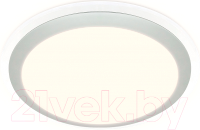 Потолочный светильник Ambrella Orbital FF49 WH - фото