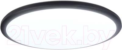 Потолочный светильник Ambrella Orbital FZ1235 BK - фото