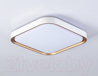 Потолочный светильник Ambrella Orbital FZ1253 WH/GD