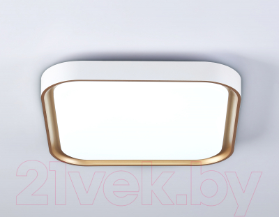 Потолочный светильник Ambrella Orbital FZ1253 WH/GD