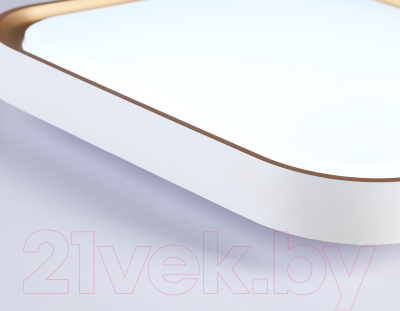 Потолочный светильник Ambrella Orbital FZ1253 WH/GD