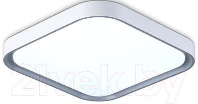 Потолочный светильник Ambrella Orbital FZ1256 WH/GR - фото