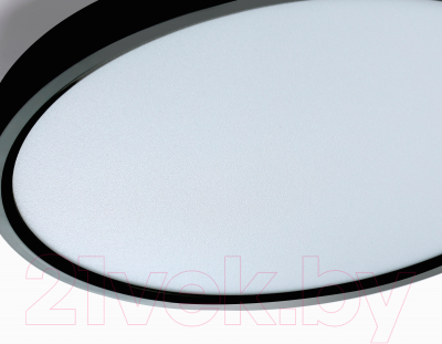 Потолочный светильник Ambrella Orbital FZ3050 BK