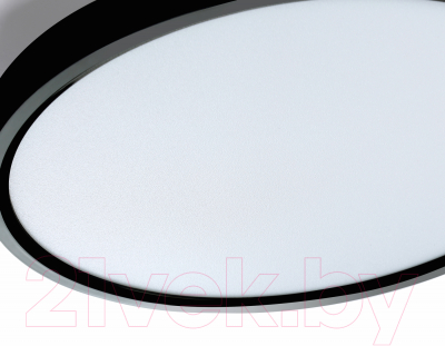 Потолочный светильник Ambrella Orbital FZ3055 BK