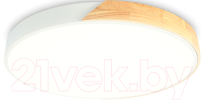 Потолочный светильник Ambrella Orbital FZ1300 WH/LW - фото