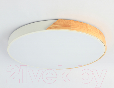 Потолочный светильник Ambrella Orbital FZ1300 WH/LW