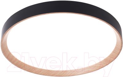 Потолочный светильник Ambrella Orbital FZ1326 BK/LWD - фото