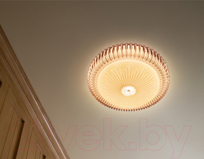 Потолочный светильник Ambrella Orbital FF95 WH